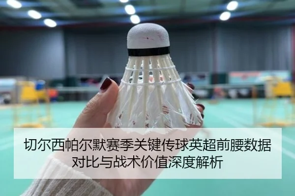 切尔西帕尔默赛季关键传球英超前腰数据对比与战术价值深度解析